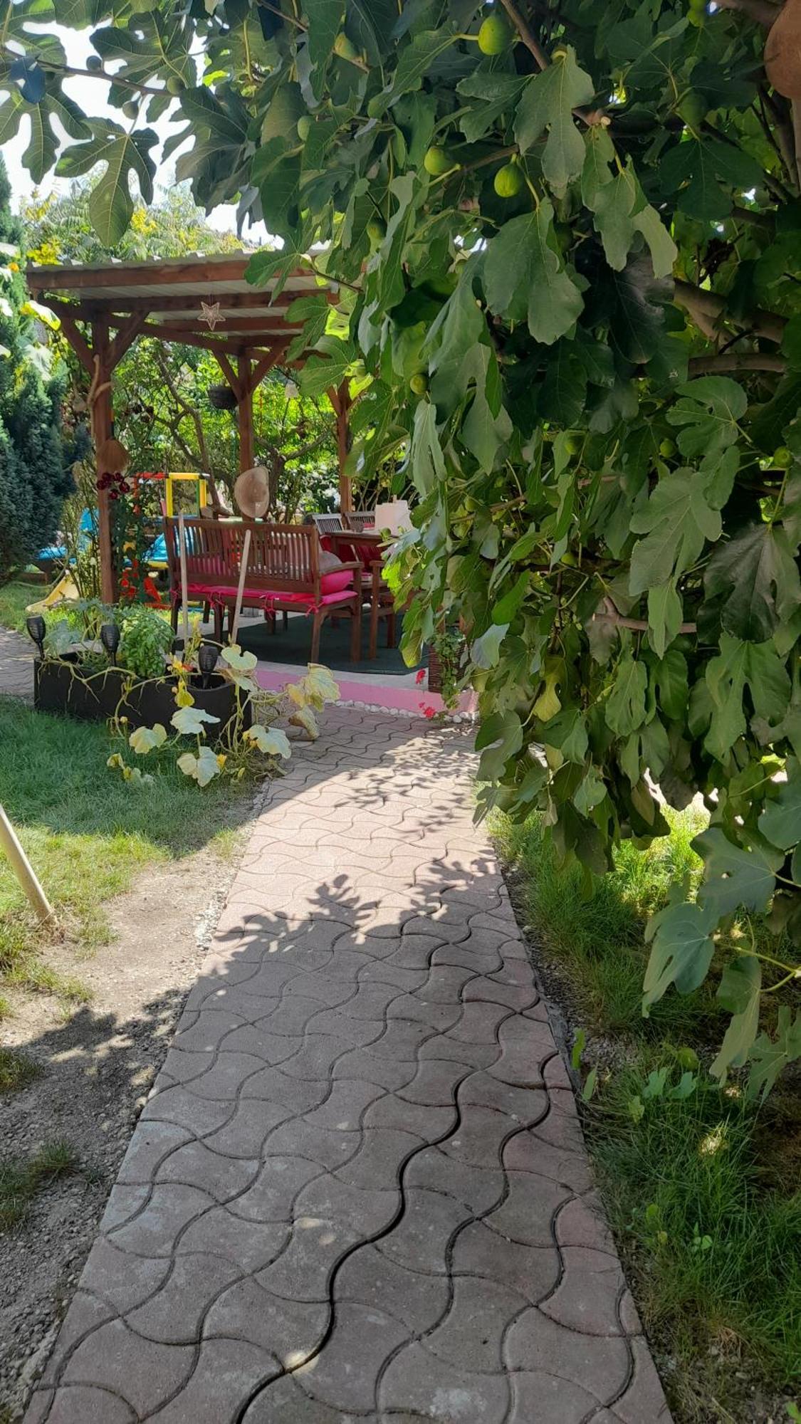 Olympe Villa Dessenheim Ngoại thất bức ảnh